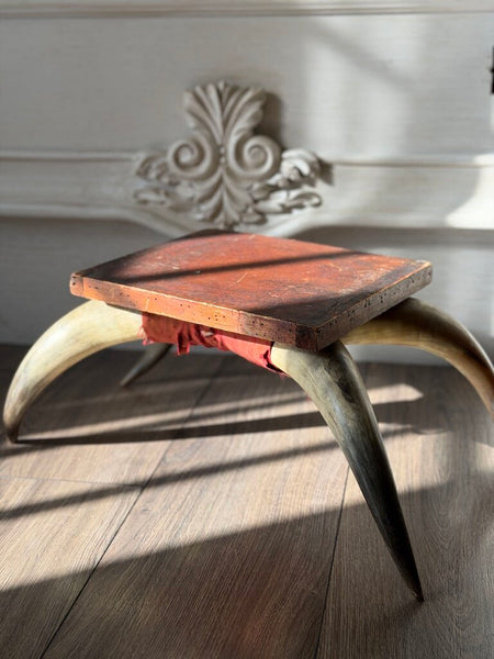 0039 Antique English Horn Stool w/ Cushion