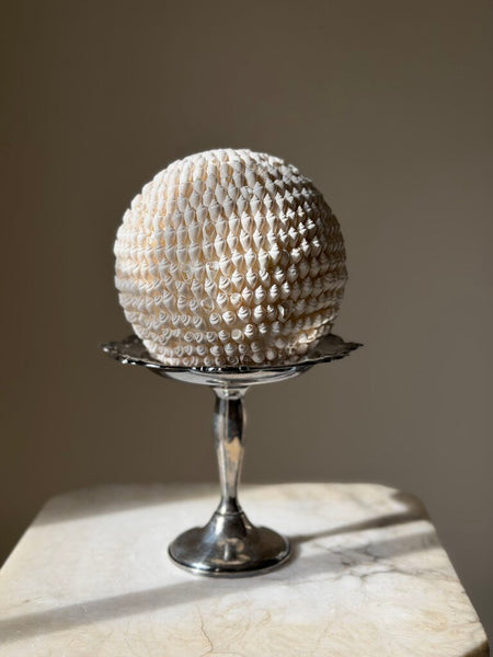 1102 Shell Sphere