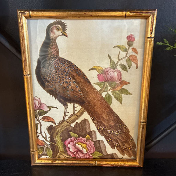 Vintage Bird Art in Faux Bamboo Frame 7.5 x 9.5