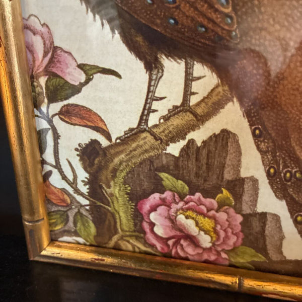 Vintage Bird Art in Faux Bamboo Frame 7.5 x 9.5