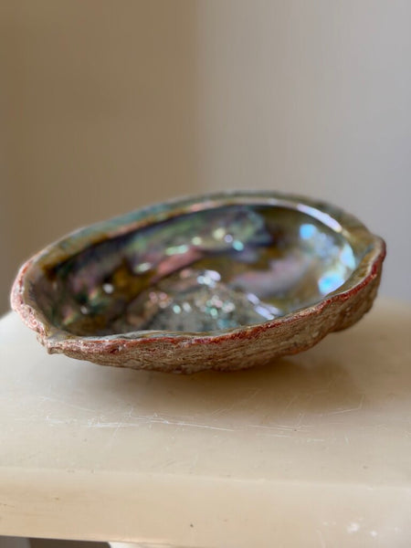 1563 Abalone Shell Trinket Dish