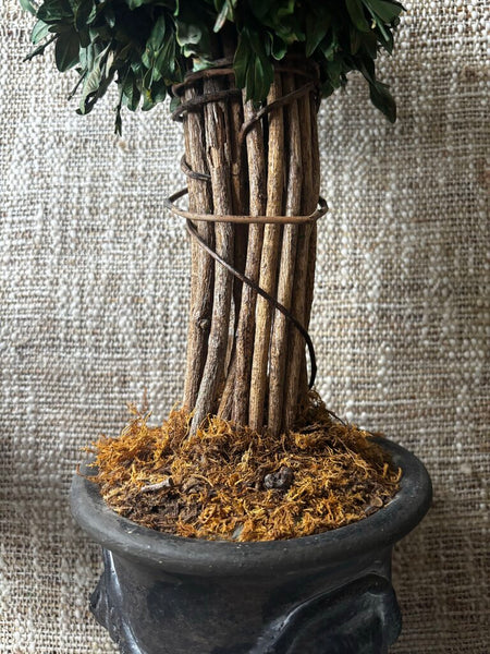 Faux Topiary in Lion Head Pot