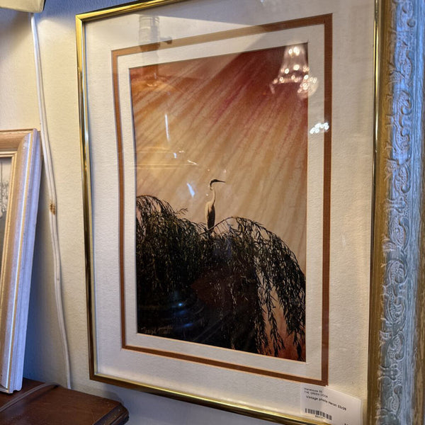Vintage photo Heron 22x26