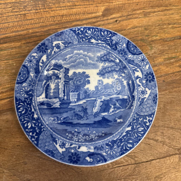 BLUE AND WHITE PLATE 6"