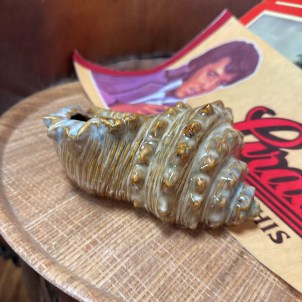 Shell Pottery 1 W2295
