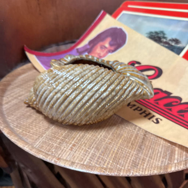 Shell Pottery 2 W2296