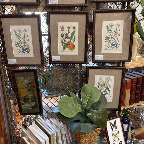 Vintage fall print in old frame 15.5" x 7.5"