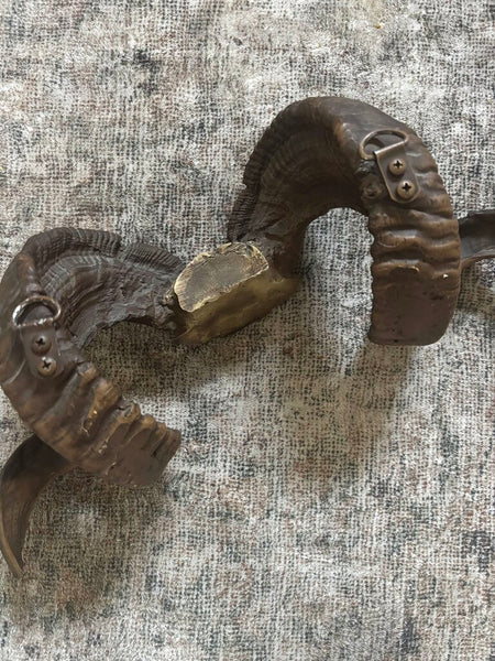 Ram Sheep Bighorn Skull Cap ~Spiraling Horns